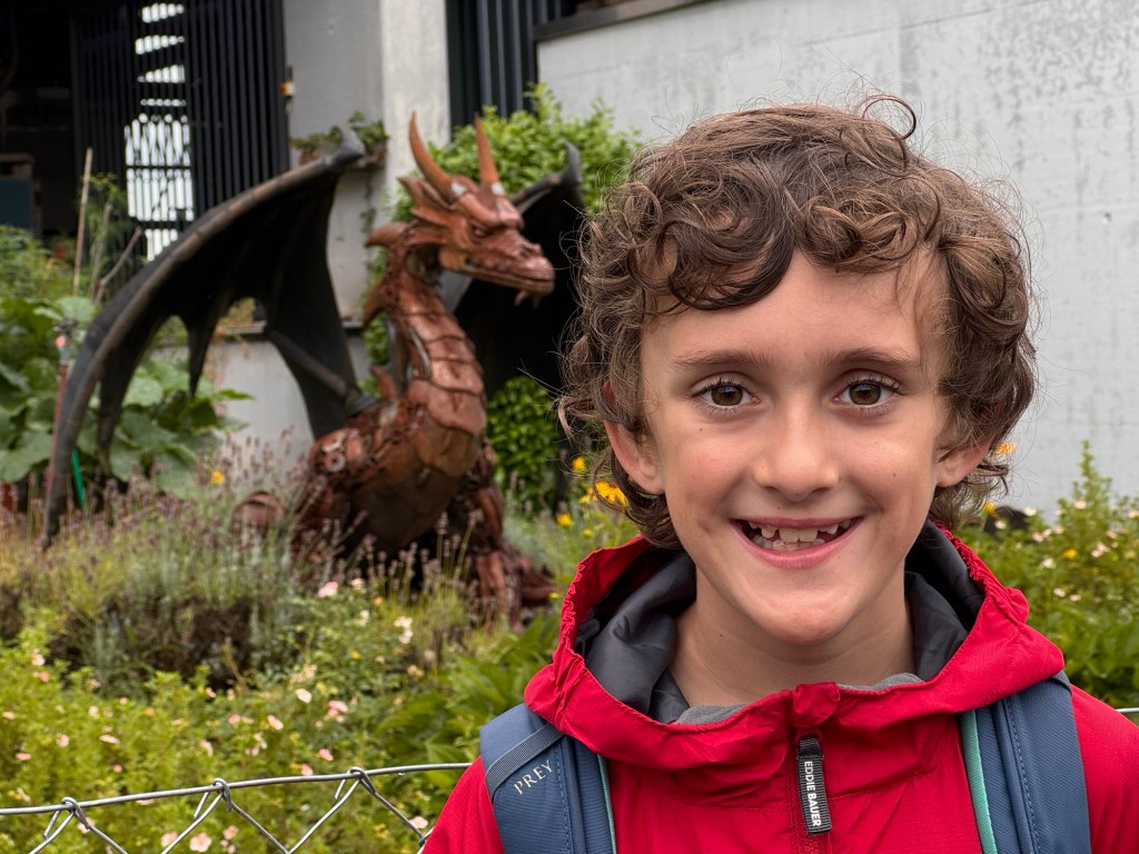 017 Dragons &&nbsp;Cobblestones