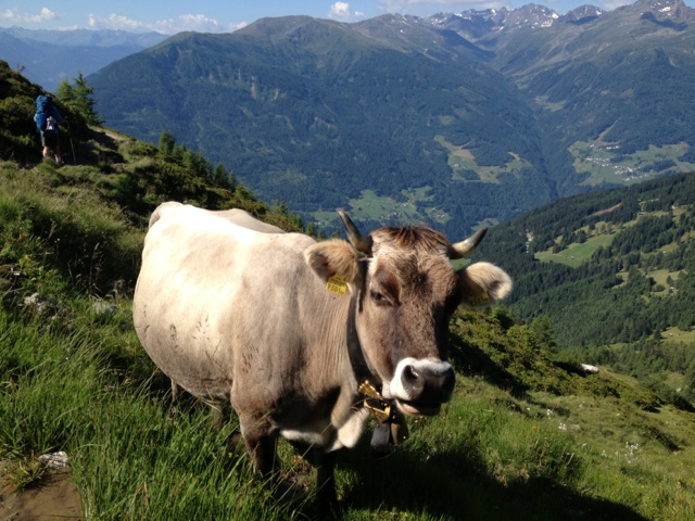 E5 Stage 9: Cable Cars and Living Large