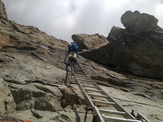 Stage 7: Climbing the Ladder of Success