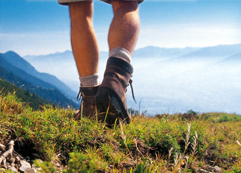 Training for the Alps