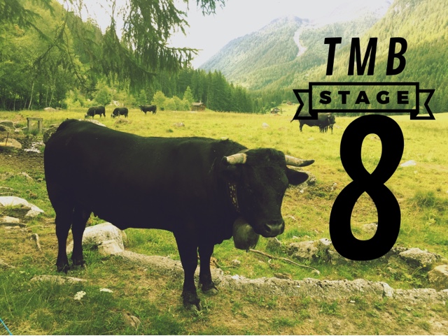 TMB Stage 8: Champex to Trient